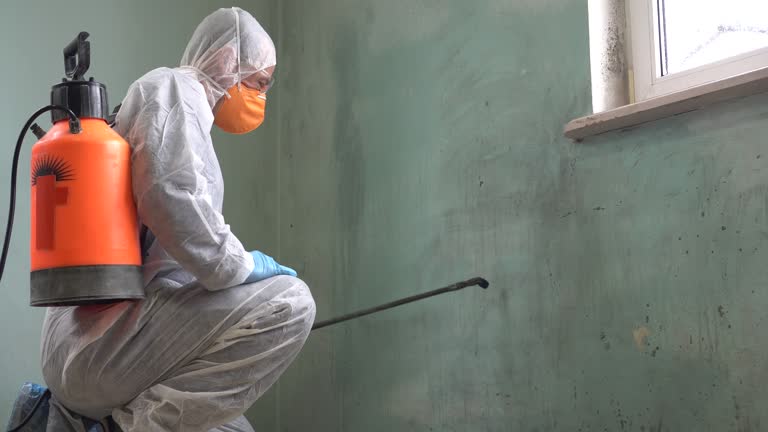 Mold Remediation for Rental Properties